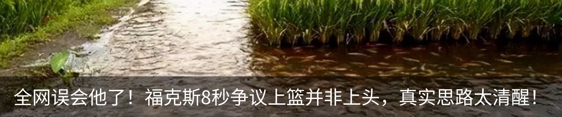 内页banner