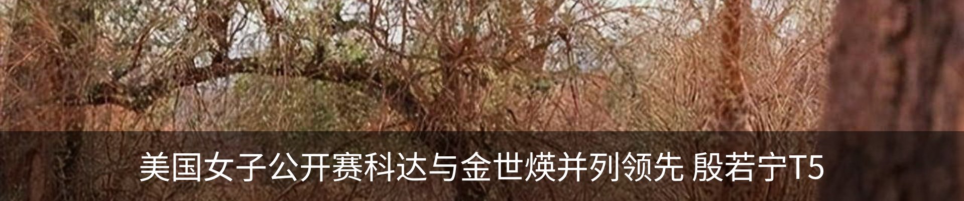 内页banner