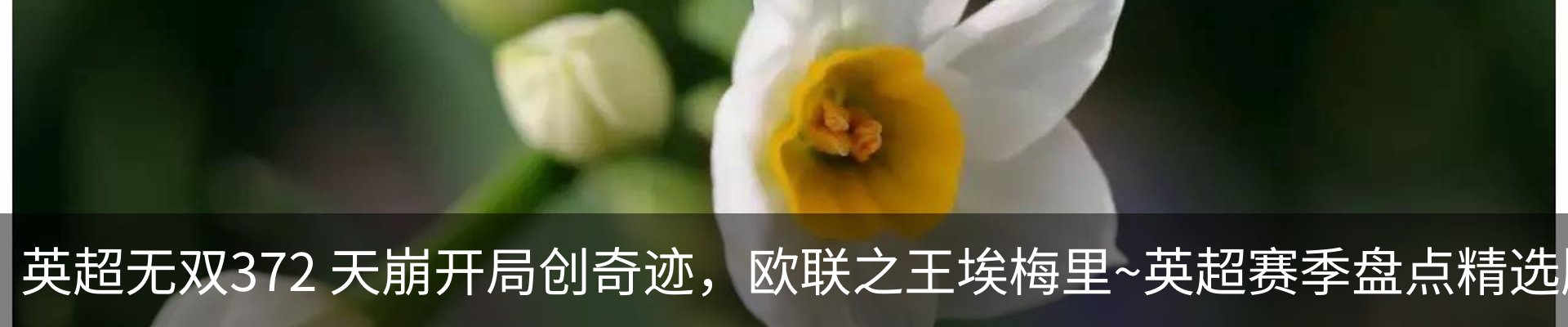 内页banner